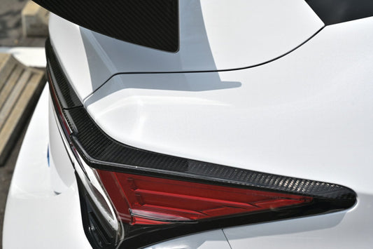 Lems RCF/RC MC post dry carbon tail spoiler set (left and right)